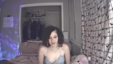 hugbug online show from December 18, 3:04 am