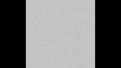 Snapshot of lahurent_weed420 chatting on November 12, 10:04 am paola and a guest lol online show from November 12, 10:04 am