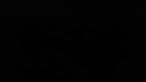 Snapshot of larry77733217 chatting on February 11, 9:56 pm larry77733217 online show from February 11, 9:56 pm