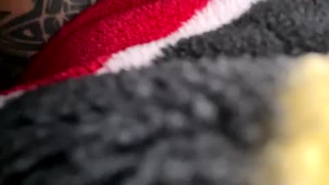 Mexakin online show from November 16, 8:58 pm