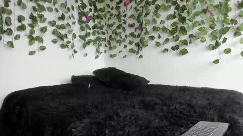 Snapshot of laurensmith9 chatting on March 27, 2:17 pm laurensmith9 online show from March 27, 2:17 pm