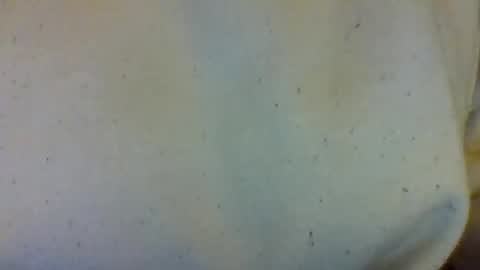 Snapshot of layannalea chatting on February 13, 7:04 am layannalea online show from February 13, 7:04 am