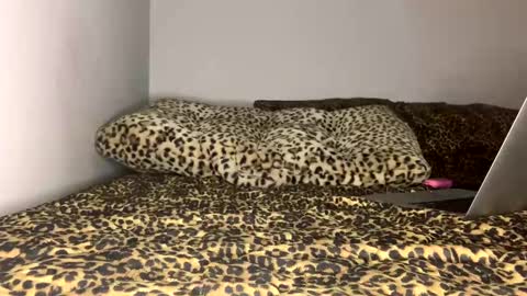 Laycee Layne online show from September 18, 4:14 am