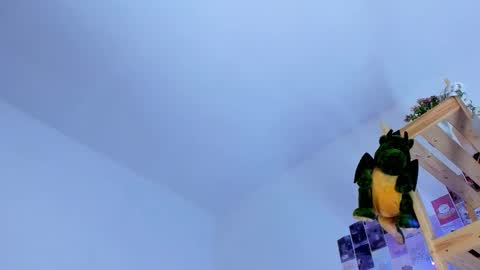 Ellie online show from October 3, 6:54 am