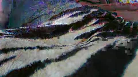 Snapshot of ledmax07 chatting on April 13, 1:22 am ledmax07 online show from April 13, 1:22 am