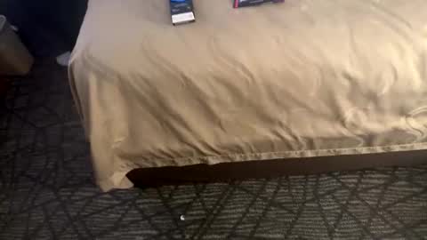 leearonn12 online show from February 1, 10:03 am