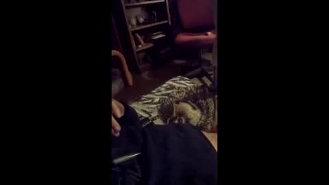 leftyusatisfied online show from April 6, 11:00 am