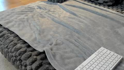 Elle  online show from March 11, 6:41 am