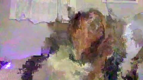 Snapshot of lemonkuilt chatting on January 5, 3:32 am Jennifer online show from January 5, 3:32 am