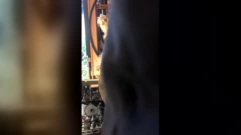 Snapshot of leongent chatting on February 27, 8:42 pm Leon online show from February 27, 8:42 pm