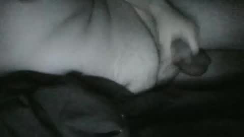 Rayne online show from December 25, 6:52 am