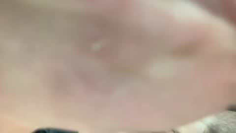 Snapshot of lexiejohnson233 chatting on December 2, 8:59 pm lexiejohnson233 online show from December 2, 8:59 pm