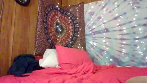 Snapshot of lexlanierxo chatting on February 1, 6:01 am LexieLanierxo online show from February 1, 6:01 am