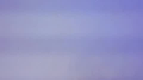 Lyela online show from October 7, 11:51 am