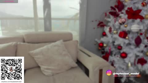 INSTA leylasteel model         online show from December 24, 2:01 pm