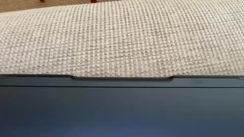 Snapshot of lfhllc1234 chatting on February 5, 1:16 pm J online show from February 5, 1:16 pm