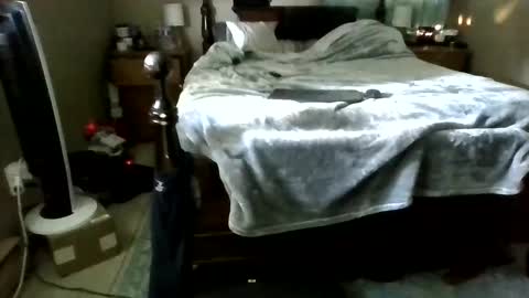 lickad_split online show from September 17, 6:53 pm