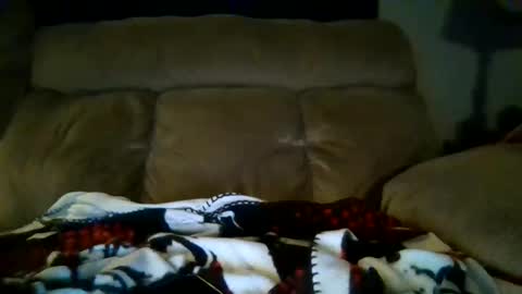 lickeypus online show from February 15, 7:51 am