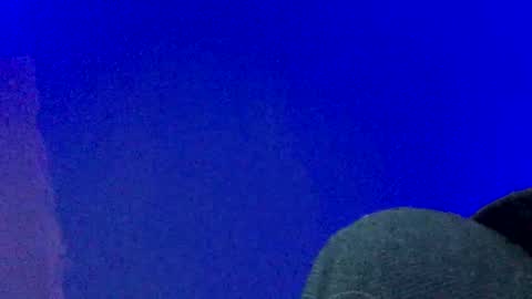 LickYourYoni online show from December 25, 4:43 pm