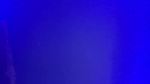 LickYourYoni online show from January 1, 2:52 pm