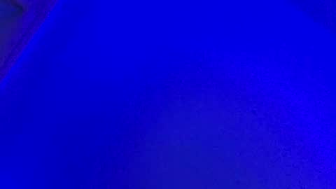 LickYourYoni online show from January 31, 1:34 pm