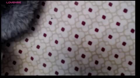 Snapshot of lildragon069 chatting on December 7, 9:28 am lildragon069 online show from December 7, 9:28 am