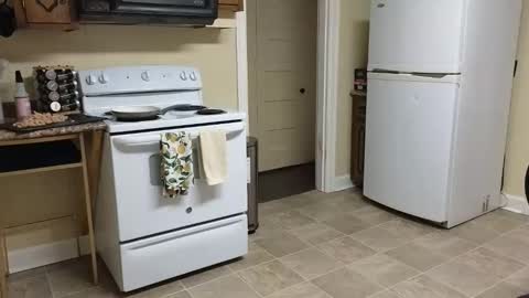 Snapshot of lilly_adams88 chatting on February 20, 2:52 am lilly_adams88 online show from February 20, 2:52 am