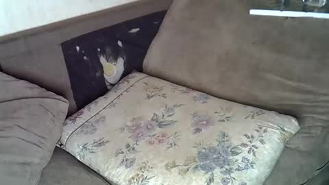 lillybae1811 online show from June 10, 8:02 am