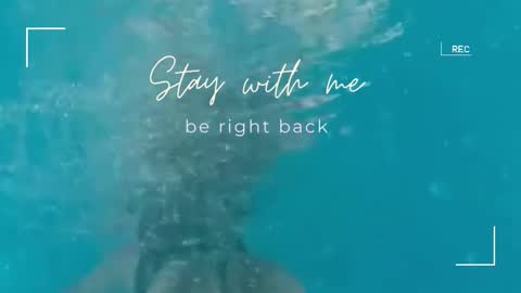 Snapshot of lily_foster_ chatting on September 23, 7:00 am Lily online show from September 23, 7:00 am