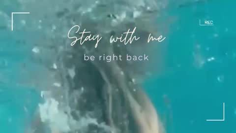 Snapshot of lily_foster_ chatting on September 30, 7:02 am Lily online show from September 30, 7:02 am