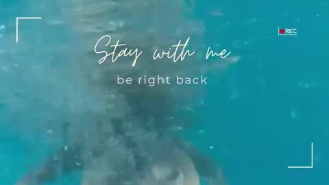 Snapshot of lily_foster_ chatting on February 4, 6:08 am Lily online show from February 4, 6:08 am