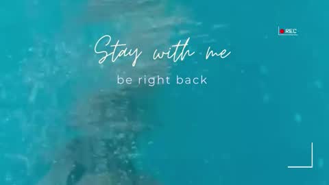 Snapshot of lily_foster_ chatting on March 6, 7:38 am Lily online show from March 6, 7:38 am