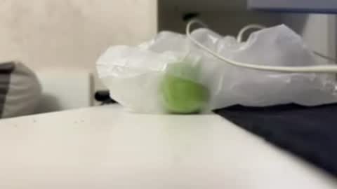lina_sun1 online show from June 28, 8:59 pm