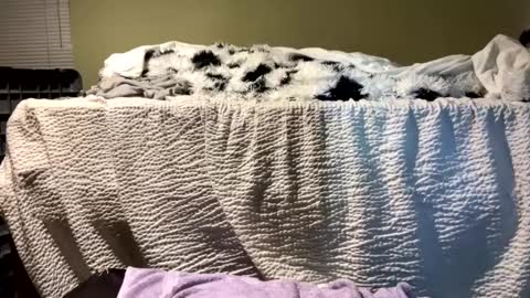 Snapshot of lincolnlongdick chatting on December 13, 7:10 pm Richie Rich online show from December 13, 7:10 pm