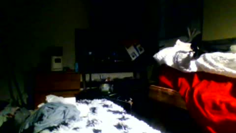 Snapshot of lincolnlongdick chatting on December 30, 11:17 pm Richie Rich online show from December 30, 11:17 pm