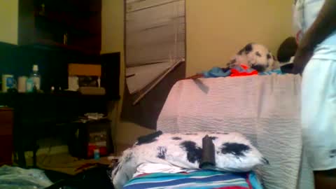 Snapshot of lincolnlongdick chatting on January 5, 8:22 am Richie Rich online show from January 5, 8:22 am