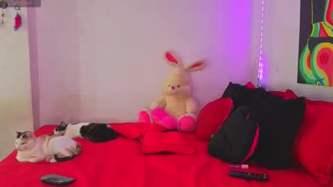 Snapshot of linda_rose28 chatting on September 16, 2:07 pm linda_rose28 online show from September 16, 2:07 pm