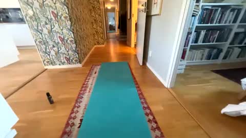 lingonkuk online show from October 19, 7:53 am