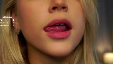 Snapshot of lipswithsmileonthem chatting on February 27, 1:05 am Amelia online show from February 27, 1:05 am