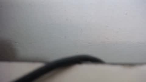 Snapshot of lisa_branch chatting on September 20, 10:27 am lisa_branch online show from September 20, 10:27 am