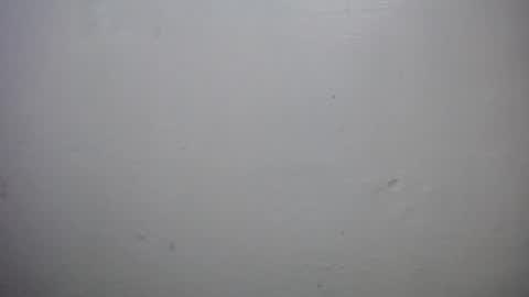 Snapshot of lisa_branch chatting on October 18, 10:16 am lisa_branch online show from October 18, 10:16 am