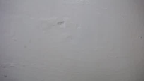 Snapshot of lisa_branch chatting on October 27, 10:41 am lisa_branch online show from October 27, 10:41 am