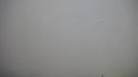 Snapshot of lisa_branch chatting on November 3, 10:38 am lisa_branch online show from November 3, 10:38 am