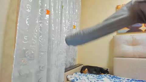 Lisasimsxs online show from August 1, 3:50 am