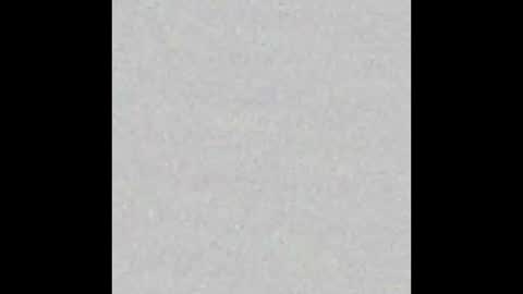 Snapshot of little_pearl_ chatting on December 23, 8:34 am Adaline online show from December 23, 8:34 am