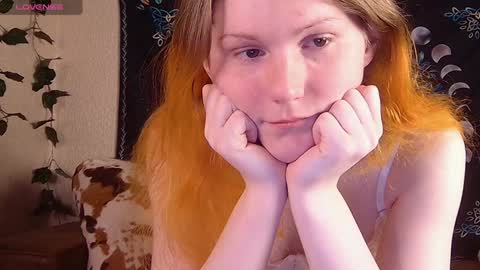 Sofia online show from December 8, 9:08 pm