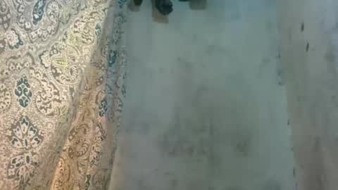 edra online show from October 13, 5:18 am