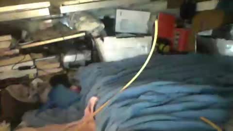 littlejay             littlejay online show from October 4, 7:17 am