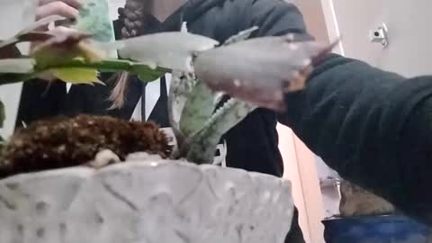 littleleo96 online show from October 5, 11:08 am