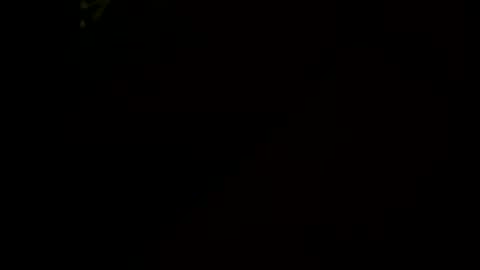 Snapshot of littletj324312 chatting on January 17, 6:29 am Little Tj online show from January 17, 6:29 am